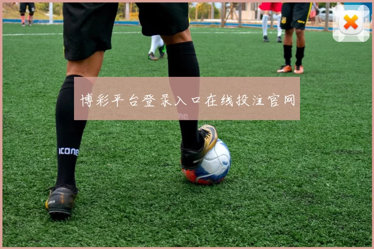 博彩平台登录入口在线投注官网