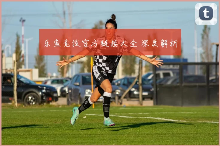 乐鱼竞技官方链接大全 深度解析