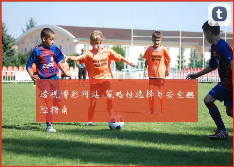 透视博彩网站_策略性选择与安全避险指南