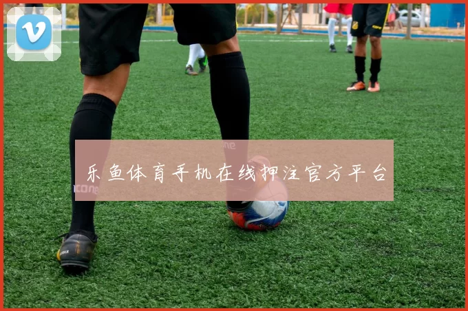 乐鱼体育手机在线押注官方平台