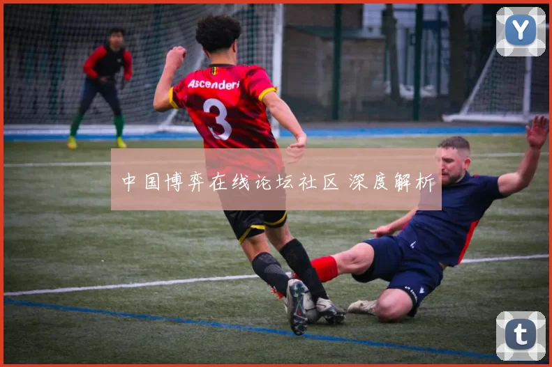 中国博弈在线论坛社区 深度解析