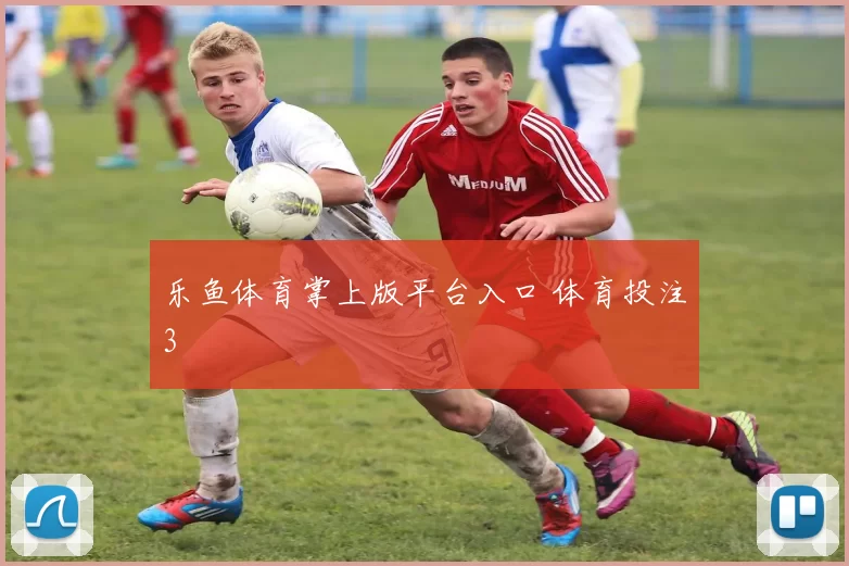 乐鱼体育掌上版平台入口 体育投注3