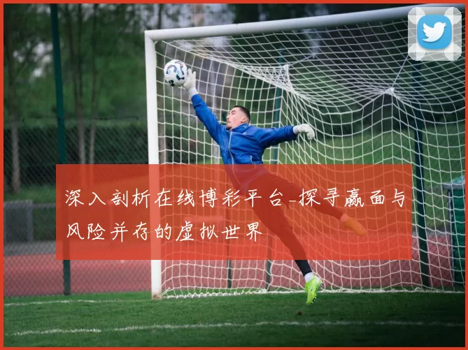 深入剖析在线博彩平台_探寻赢面与风险并存的虚拟世界