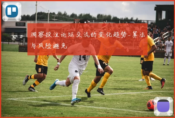 洞察投注论坛交流的变化趋势_算法与风险避免