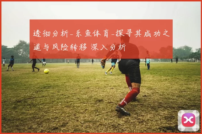 透彻分析_乐鱼体育_探寻其成功之道与风险转移 深入分析