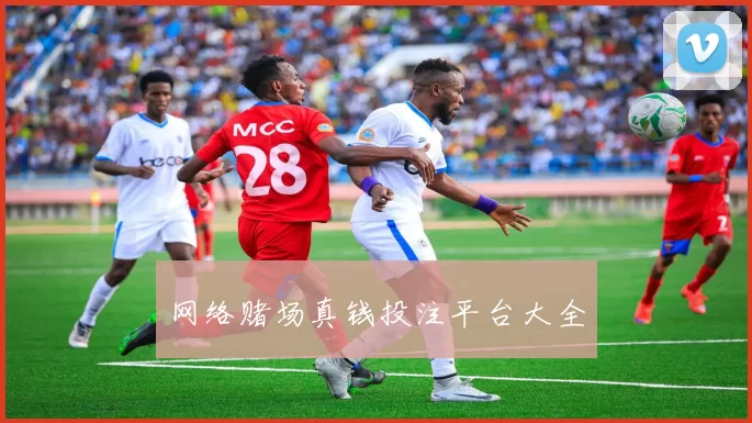 网络赌场真钱投注平台大全