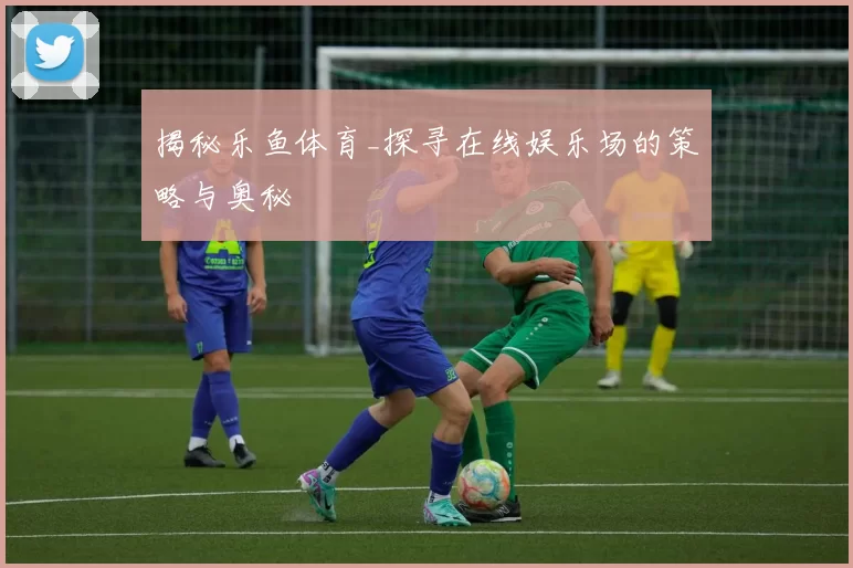 揭秘乐鱼体育_探寻在线娱乐场的策略与奥秘