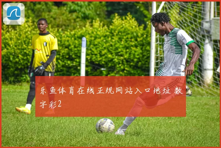 乐鱼体育在线正规网站入口地址 数字彩2