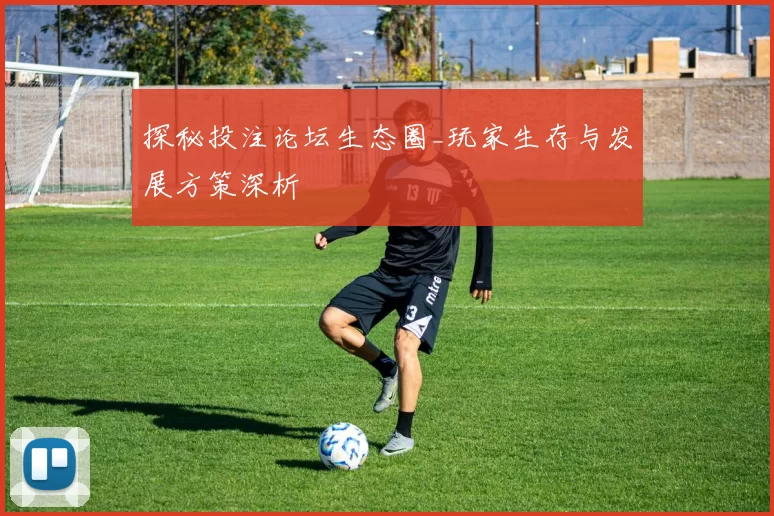 探秘投注论坛生态圈_玩家生存与发展方策深析