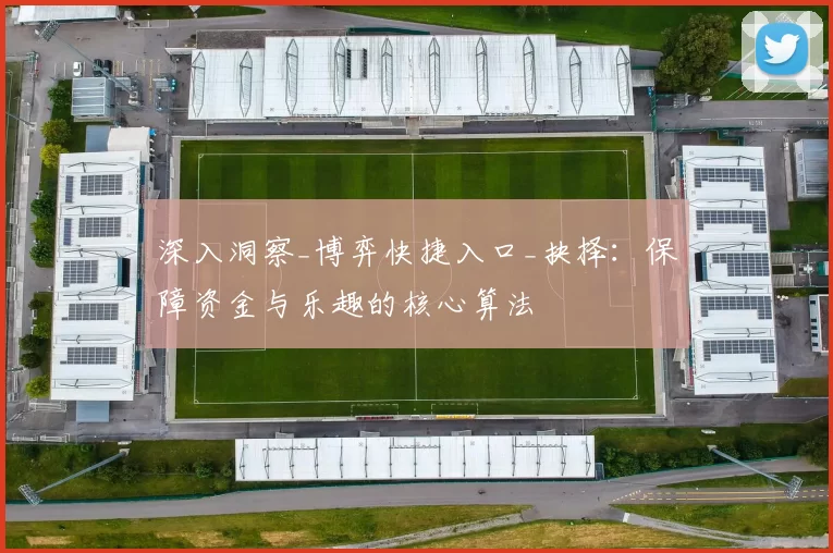 深入洞察_博弈快捷入口_抉择：保障资金与乐趣的核心算法